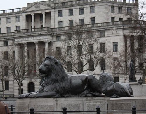 Lion at Trafalgar Square