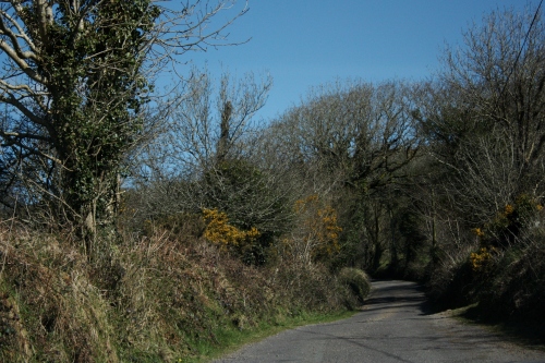 Road to Horseback Riding, Bantry, County Cork