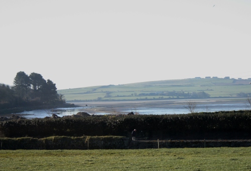 View of Clonakilty Bay from B&B