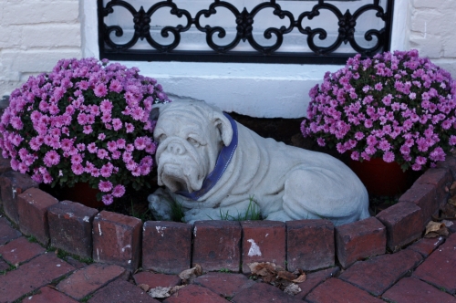Sweet Bulldog Statue