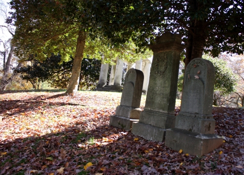 The fallen leaves throughout the Garden cemetery
