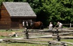 Mount Vernon Draft Horse&nbsp;II