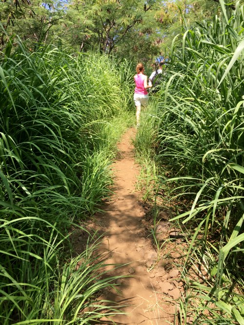 Kealakekua Bay Trail Patti walking in the tall grass