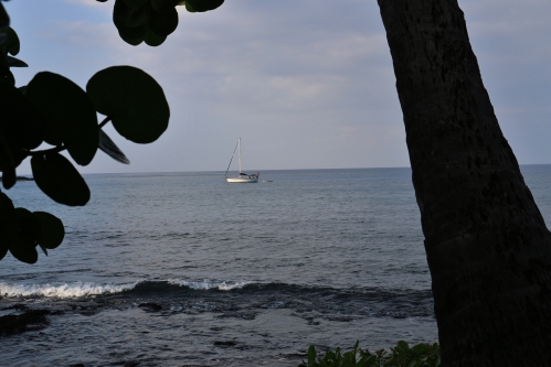 Kona sailboat on the waters