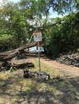 WP Kealakekua Bay Trail Marker&nbsp;8