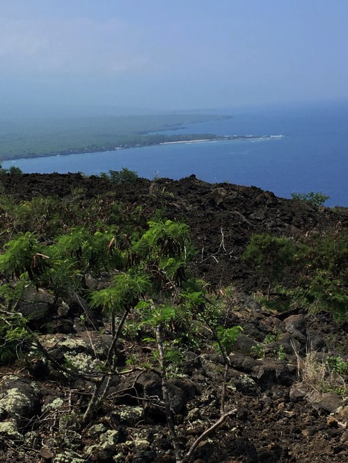WP Kealakekua Bay Trail view to south side of island