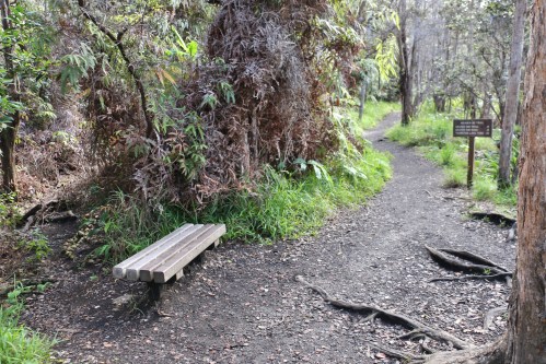 hawaii-kilauea-iki-trail-volcanos-national-park-bench-and-trail