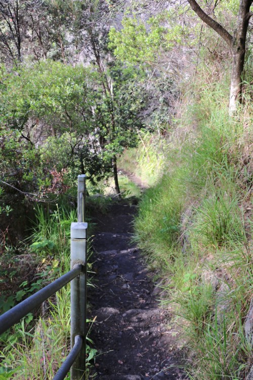 hawaii-kilauea-iki-trail-volcanos-national-park-trail-v