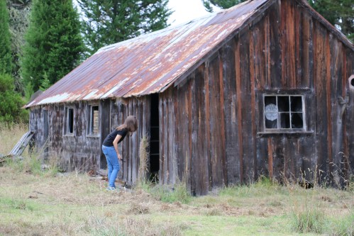 Mauna Kea Sheep Station Logan III